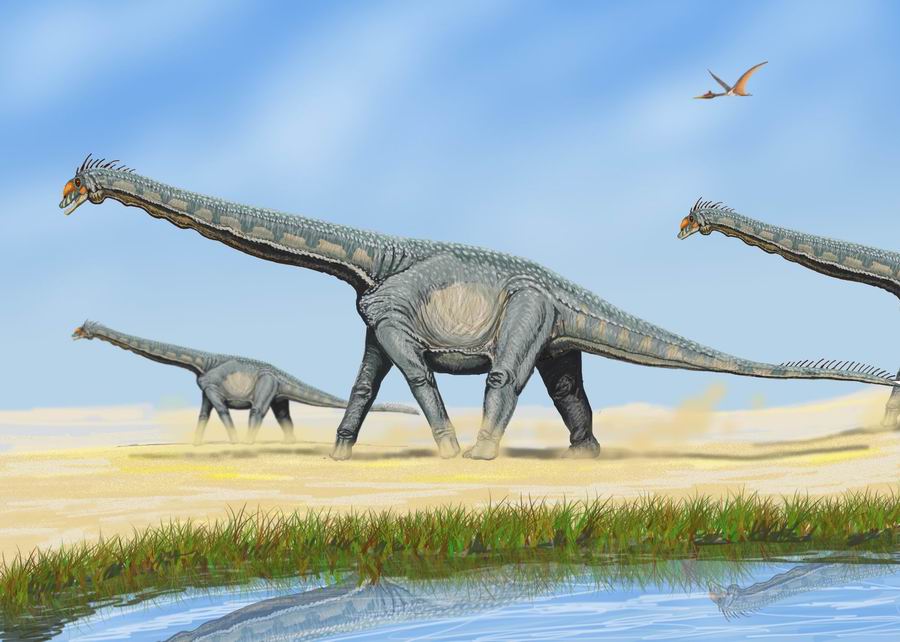 Illustration of large dinosaurs with long necks walking in a sandy landscape. A pterosaur flies in the blue sky, and grass grows near a water body.