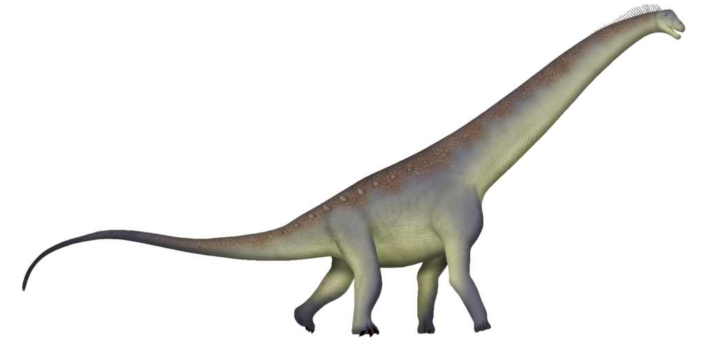 Realistic illustration of a long-necked dinosaur with a textured gray and beige body standing against a black background. The creature appears calm and majestic.