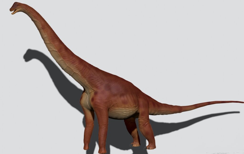 A long-necked, brown dinosaur stands on four legs, casting a shadow on a plain background. Its texture is scaly, evoking a prehistoric atmosphere.