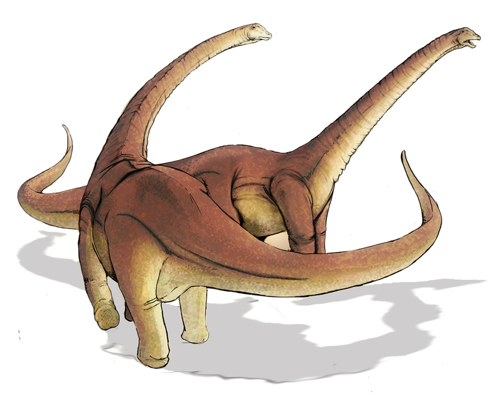 Illustration of two large, brown, long-necked sauropod dinosaurs facing opposite directions on a white background, conveying a sense of majesty and antiquity.
