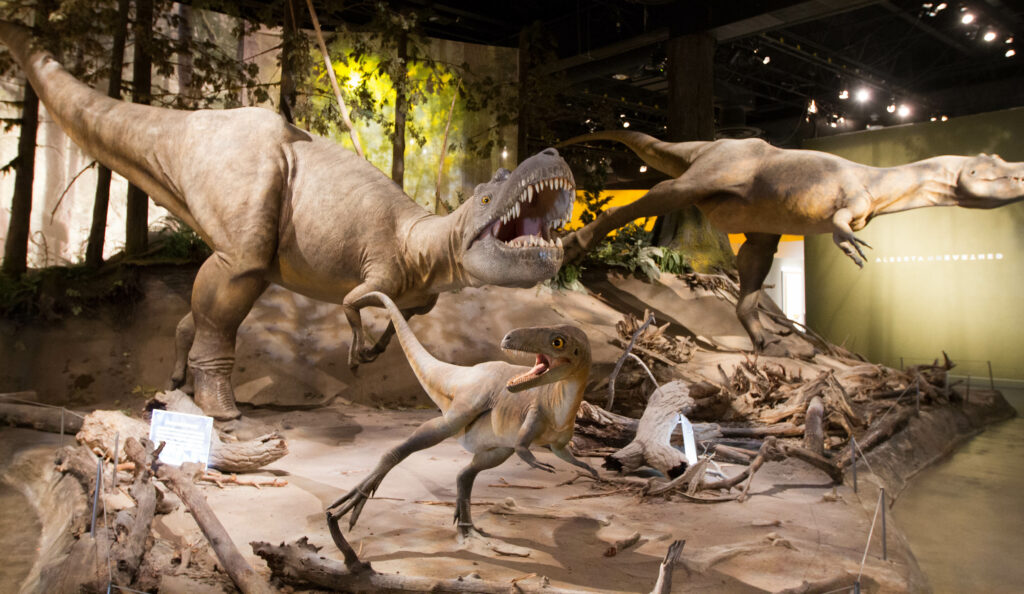 Albertosaurus The Northern Hunter