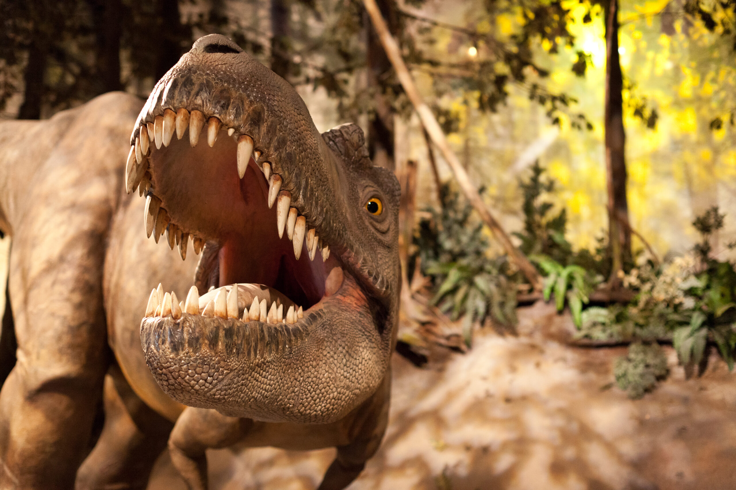 Close-up of a roaring dinosaur with sharp teeth in a forest setting. The dinosaur's open mouth and fierce eyes convey a sense of power and intensity.