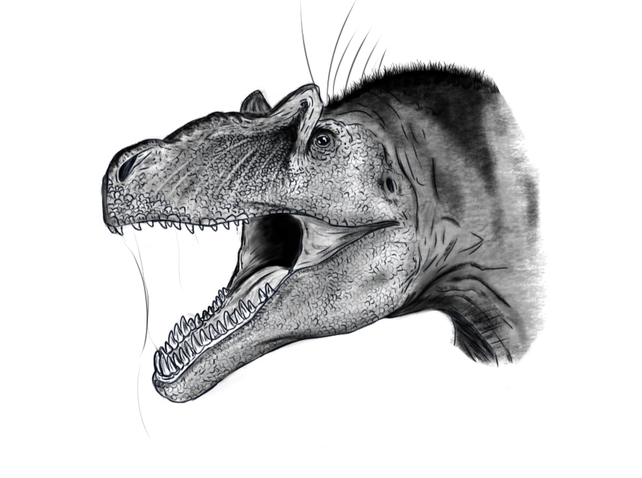 Black and white illustration of a fierce dinosaur head, resembling a carnivorous species. The dinosaur has an open mouth, sharp teeth, and textured skin.