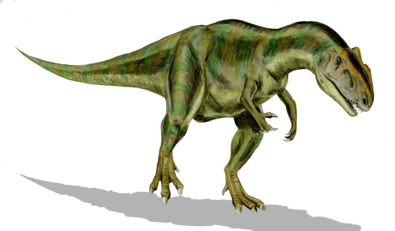 Illustration of a green and brown striped dinosaur with a muscular body, small arms, and a long tail, set against a white background. The dinosaur appears fierce and powerful.