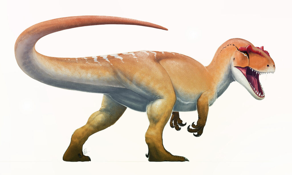 Illustration of a dinosaur, likely a carnivore, with an open mouth showing teeth. It has orange-brown skin with white markings and a long, curved tail.