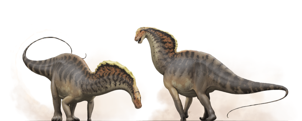Two sauropod dinosaurs with long necks and tails stand on a plain background. Their bodies feature striped patterns and a crest along their spines.