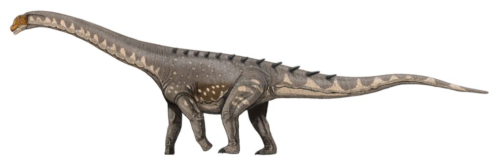 Illustration of a long-necked dinosaur, possibly a sauropod, with a gray, textured skin and white spots. It stands on four legs, conveying a calm presence.
