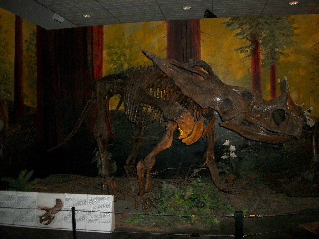 Dinosaur skeleton exhibit of a ceratopsian in a museum with forest mural backdrop. The scene evokes a historical and educational atmosphere.
