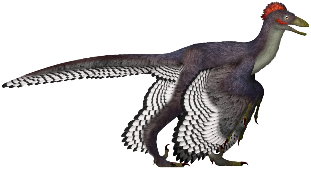 A colorful prehistoric bird-like dinosaur with a red-crested head, sharp beak, and detailed black and white feather patterns, against a plain background.