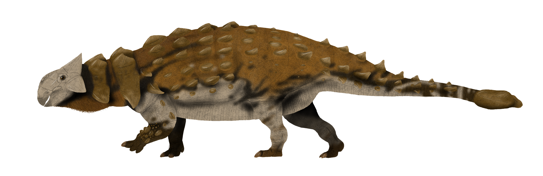 Illustration of an ankylosaur dinosaur with a heavily armored body, spikes, and a club-like tail. It conveys a sense of strength and defense.