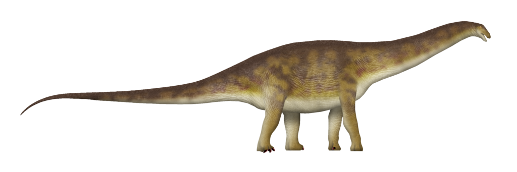 Illustration of a long-necked herbivorous dinosaur with a brown, textured body and a long tail, standing sideways against a white background.