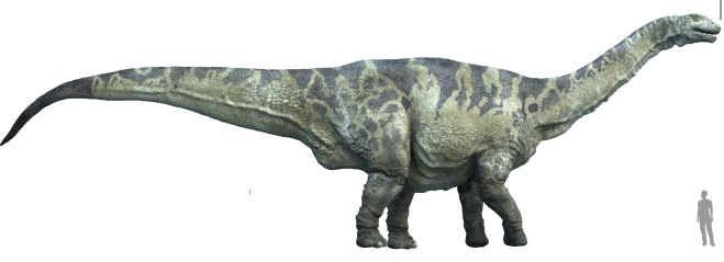 Big-bodied dinosaurs had to beat the heat—especially when it came to keeping their brains cool in changing climates.
