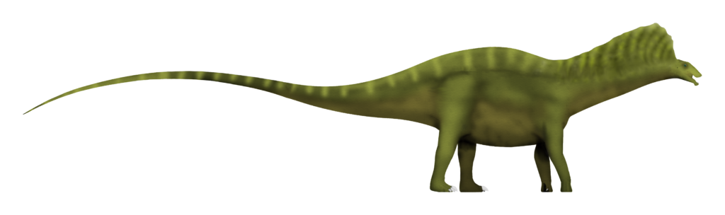 Illustration of a green dinosaur with a long, curved tail and a sail-like ridge. It stands on four legs, depicting a calm, prehistoric scene.
