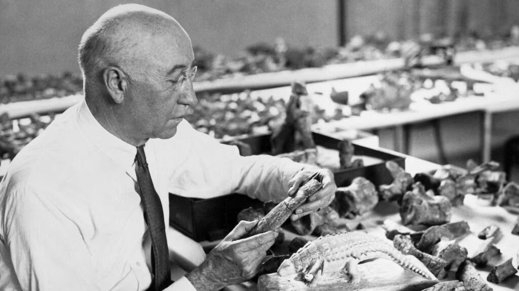 The Man Who Introduced T. rex to Science