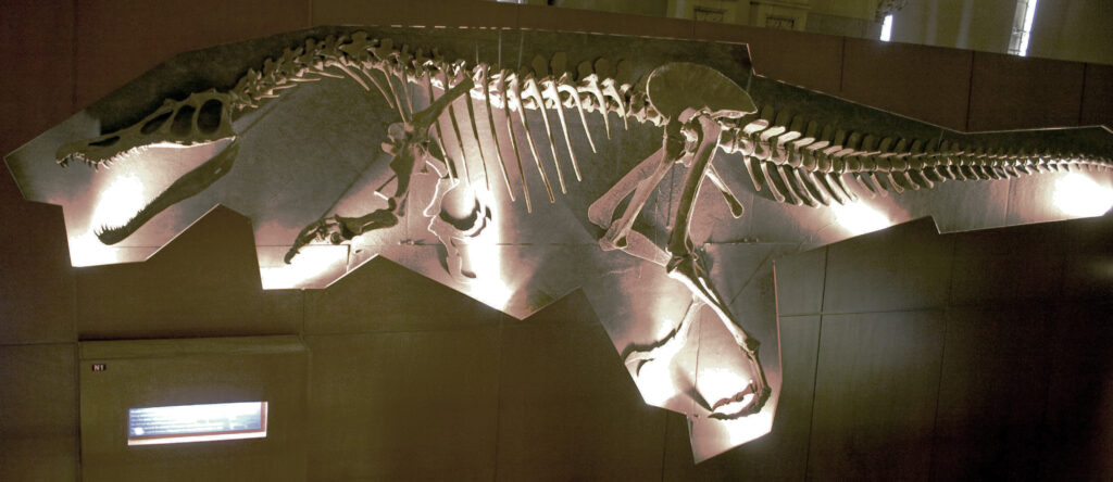 Illuminated dinosaur skeleton exhibit on a museum wall. Soft lighting highlights detailed bones and teeth, creating an educational and awe-inspiring scene.