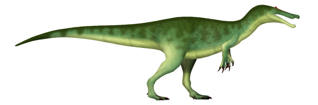 Realistic illustration of a bipedal dinosaur with a green body, long tail, and pointed snout, conveying a prehistoric concept in a vivid style.
