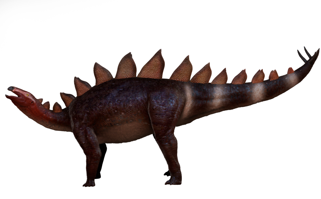 A realistic stegosaurus with dark, textured skin stands in profile. Its back features large, reddish-brown plates and its tail has sharp spikes.
