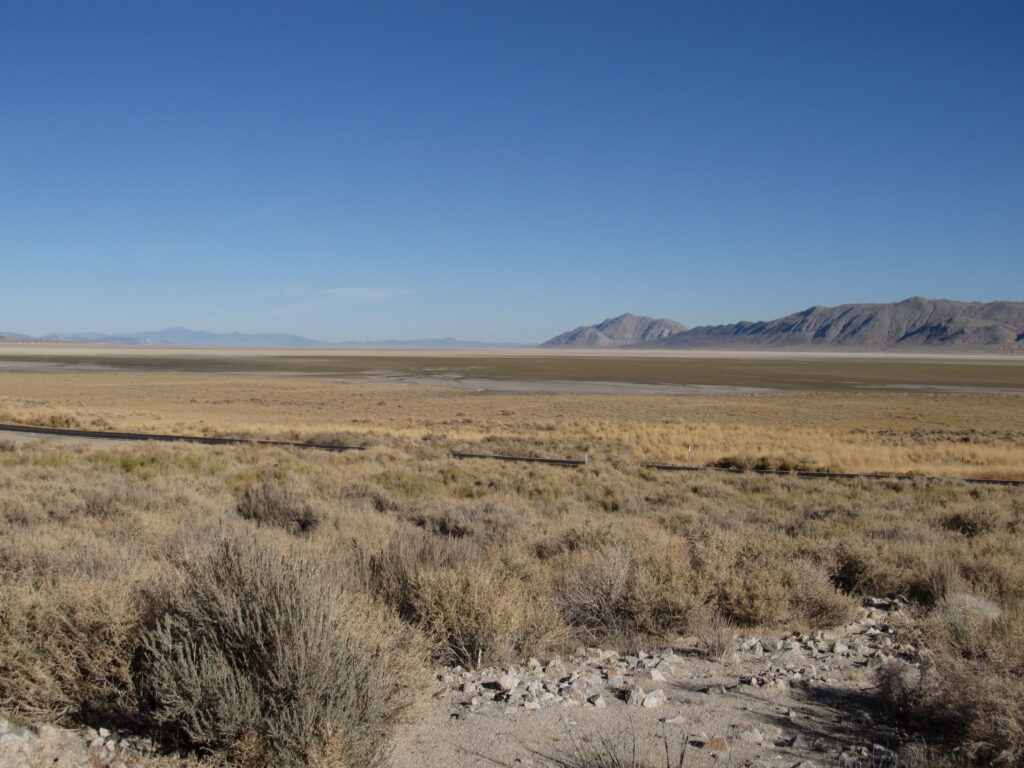 Expansive desert landscape under clear blue sky, with distant mountains on the horizon. Foreground features dry shrubs and sparse vegetation.