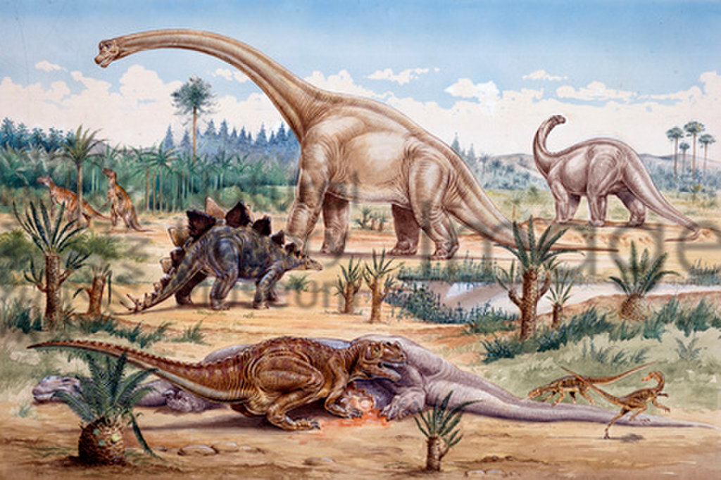 Brachiosaurus The High-Browsing Giant