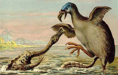 A large prehistoric bird with a blue head attacks a sea creature in shallow water. The scene is dynamic, conveying tension and drama.