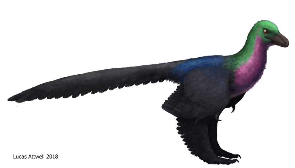 Illustration of a colorful dinosaur with bird-like features, showing vibrant green, pink, and blue feathers on a sleek black body.
