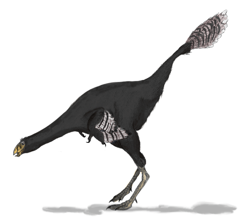 A black Caudipteryx dinosaur runs on hind legs with outstretched wings and a long, striped tail. Its expression is focused, highlighting agility and speed.