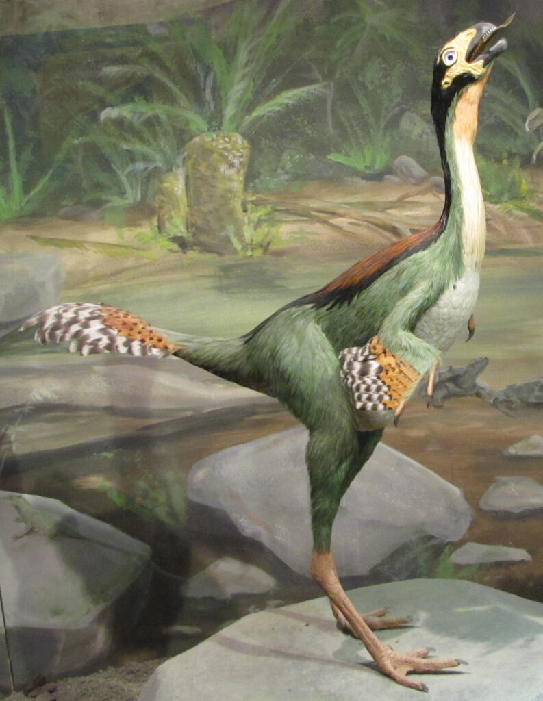 A lifelike model of a green and brown dinosaur, resembling a bird, standing on two legs. It's in a rocky, prehistoric environment with lush greenery.