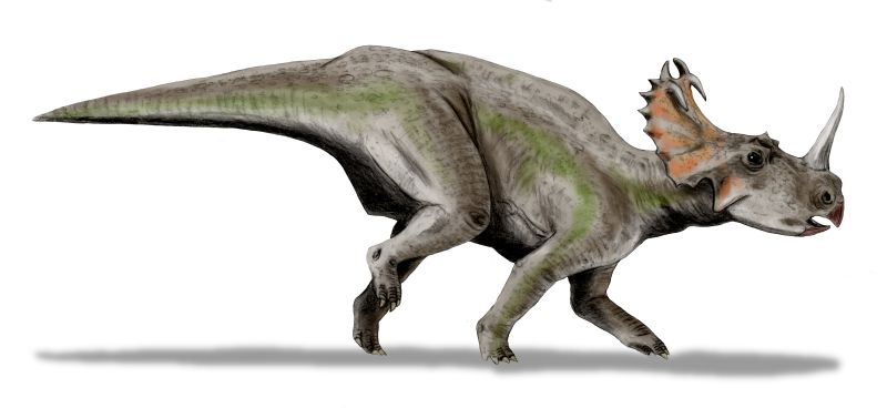 Illustration of a dinosaur with horns and a frill, resembling a Triceratops. It has a gray body with green accents, appearing dynamic and powerful.