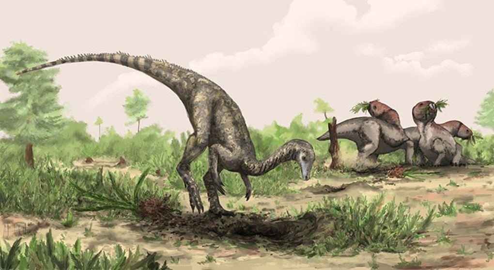 Chilesaurus The Vegetarian Predator