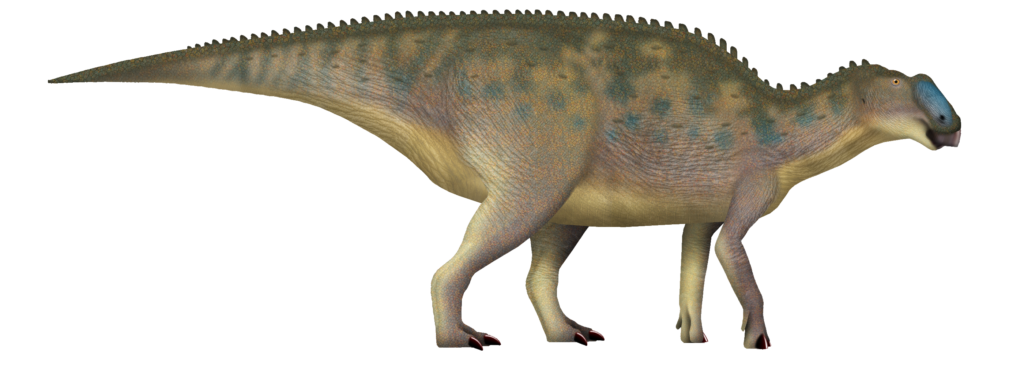 Illustration of a dinosaur with a large body, four legs, and a beak-like snout. It has textured, mottled skin in shades of green, blue, and beige.