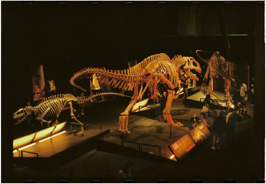 Nyasasaurus the oldest dinosaur