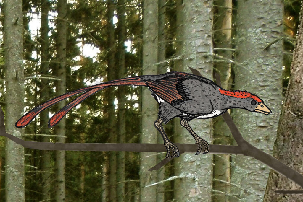 Illustration of a bird-like dinosaur with red and black feathers, perched on a branch in a dense forest. The scene evokes a prehistoric era.