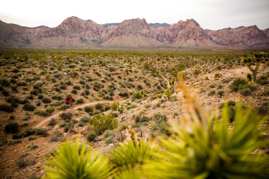 A lone cyclist in a red jacket rides a dirt path through a vast desert landscape with scattered shrubs, beneath towering rugged mountains on a cloudy day.
