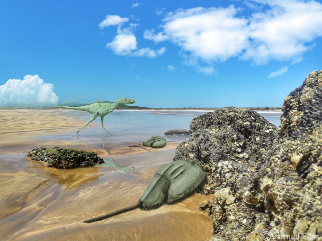 A small green dinosaur walks along a sandy beach near tide pools and rocky formations under a blue sky with scattered clouds.