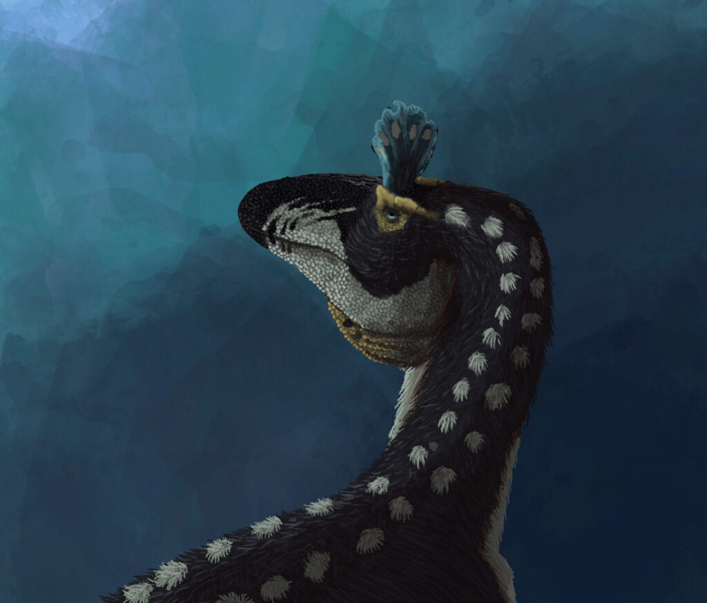 Illustration of a prehistoric bird with a long neck, spotted feathers, and a small crest on its head, set against a textured teal background.