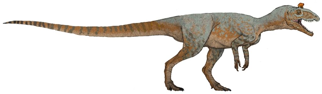 Illustration of a dinosaur with a long tail, short arms, and open mouth. The body has brown and blue tones with striped markings. The tone is dynamic.
