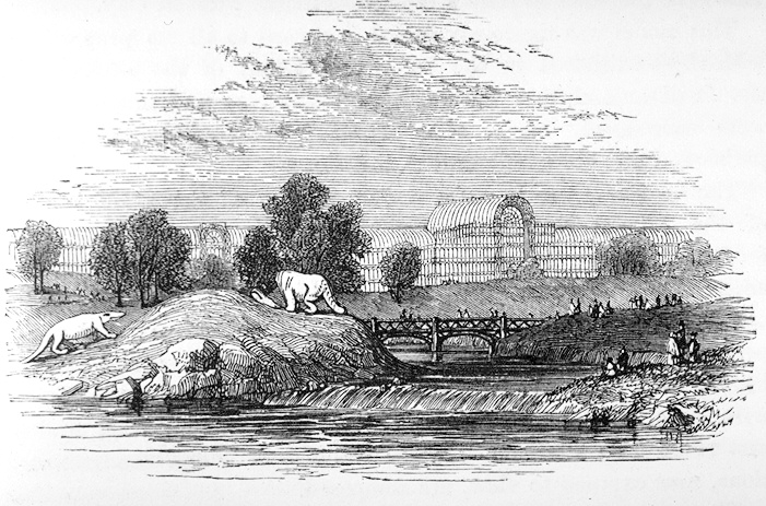 Crystal Palace-Dinosauria 1854