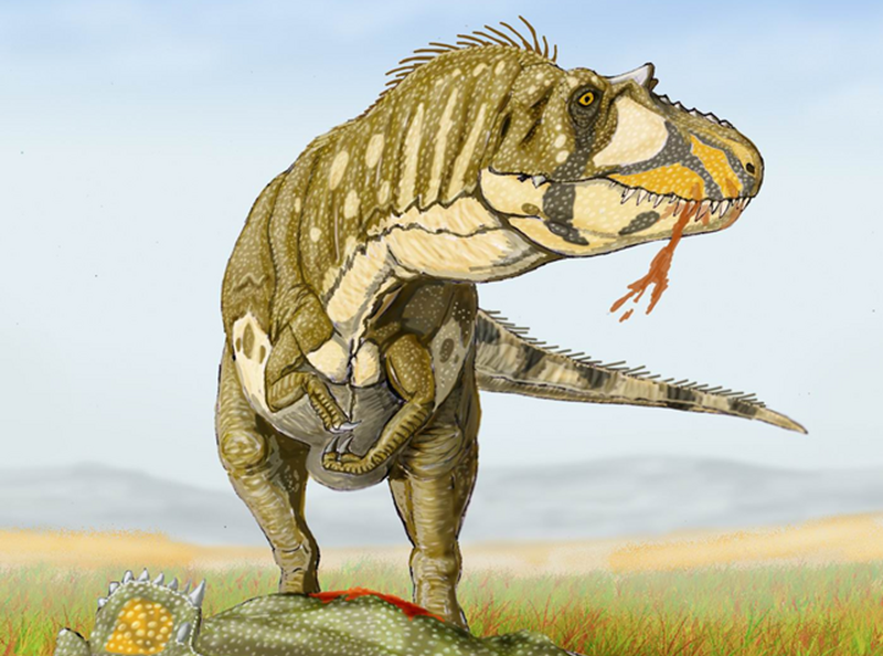 Daspletosaurus The Tyrant Dinosaur