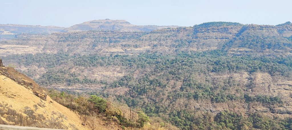 Panoramic view of a rugged mountain landscape with sparse vegetation. The scene is sunlit, highlighting rocky textures and dense green patches. Tranquil atmosphere.