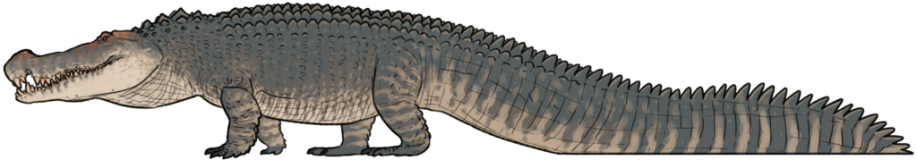 Illustration of a large, detailed crocodile with textured, scaly skin. The body is elongated, with a powerful tail, conveying strength and menace.