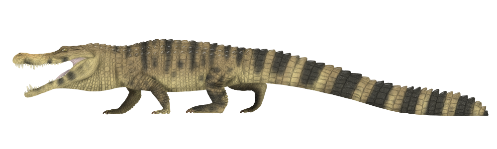 Illustration of a prehistoric crocodile-like creature with a long, striped tail and textured skin. Its mouth is open, exposing sharp teeth.