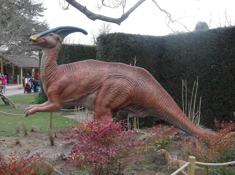 A lifelike model of a parasaurolophus dinosaur