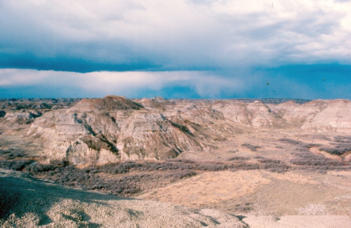 Dinosaur Park Formation in Dinosaur Provincial Park, Alberta, Canada
