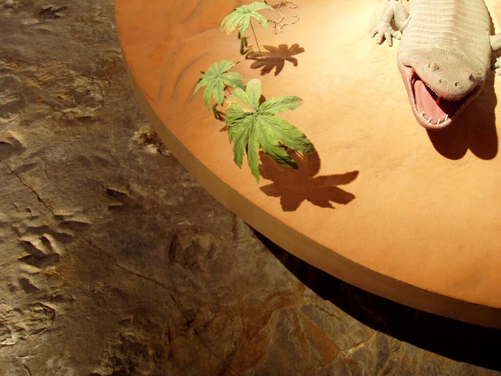 A close-up of a dinosaur model with an open mouth on an orange surface. Green leaves and shadows are visible, along with fossilized footprints below.
