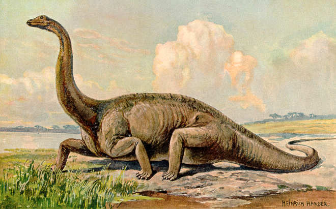 Sauropods like Diplodocus packed giant stomachs