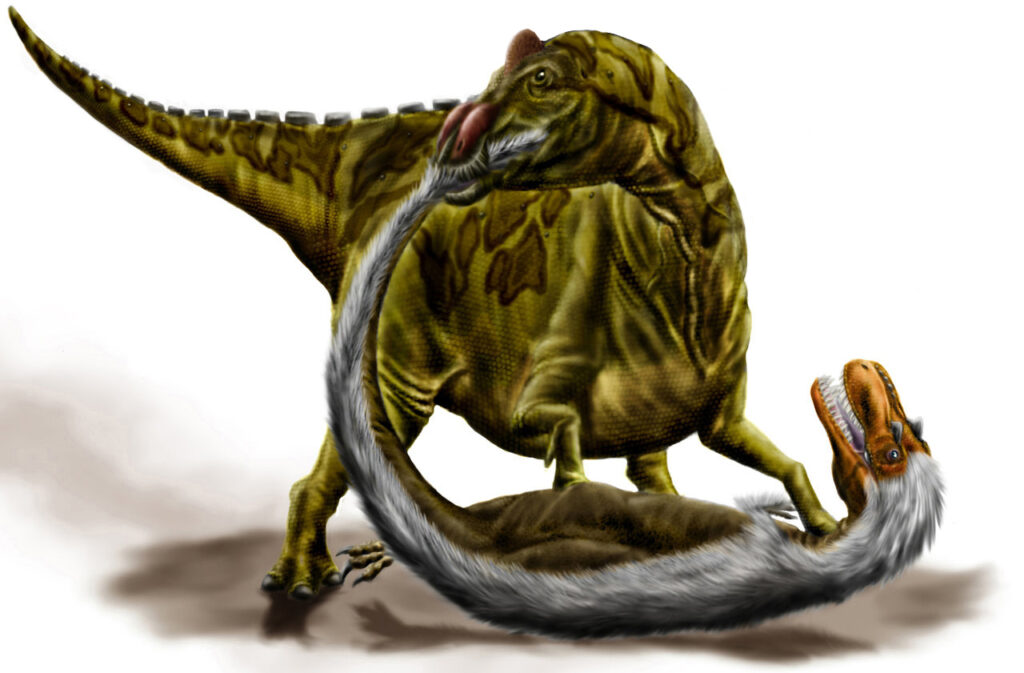 Two dinosaurs are depicted; one, green with a brown pattern, is standing over another, fluffy with gray feathers and an orange face, on the ground. Energetic scene.