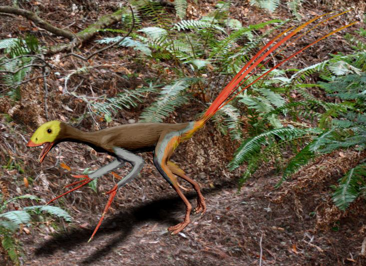 A small dinosaur with a yellow head, colorful feathery tail, and sharp claws stands amidst lush green ferns, creating a vivid prehistoric scene.