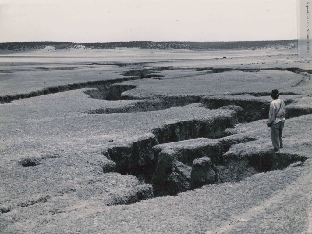 A person stands at the edge of a large, cracked earth fissure in a desolate landscape. Sparse vegetation and distant hills under an overcast sky convey isolation.