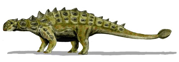 Euoplocephalus takes dino armor to the extreme, boasting one of the most advanced defensive systems ever seen in ankylosaurs! 