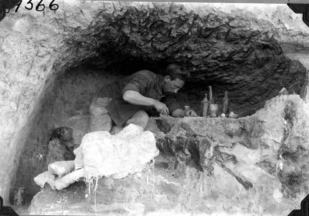 A man excavates a rocky cave, focused on examining artifacts. Bottles and objects rest beside him, conveying a scene of archaeological discovery.